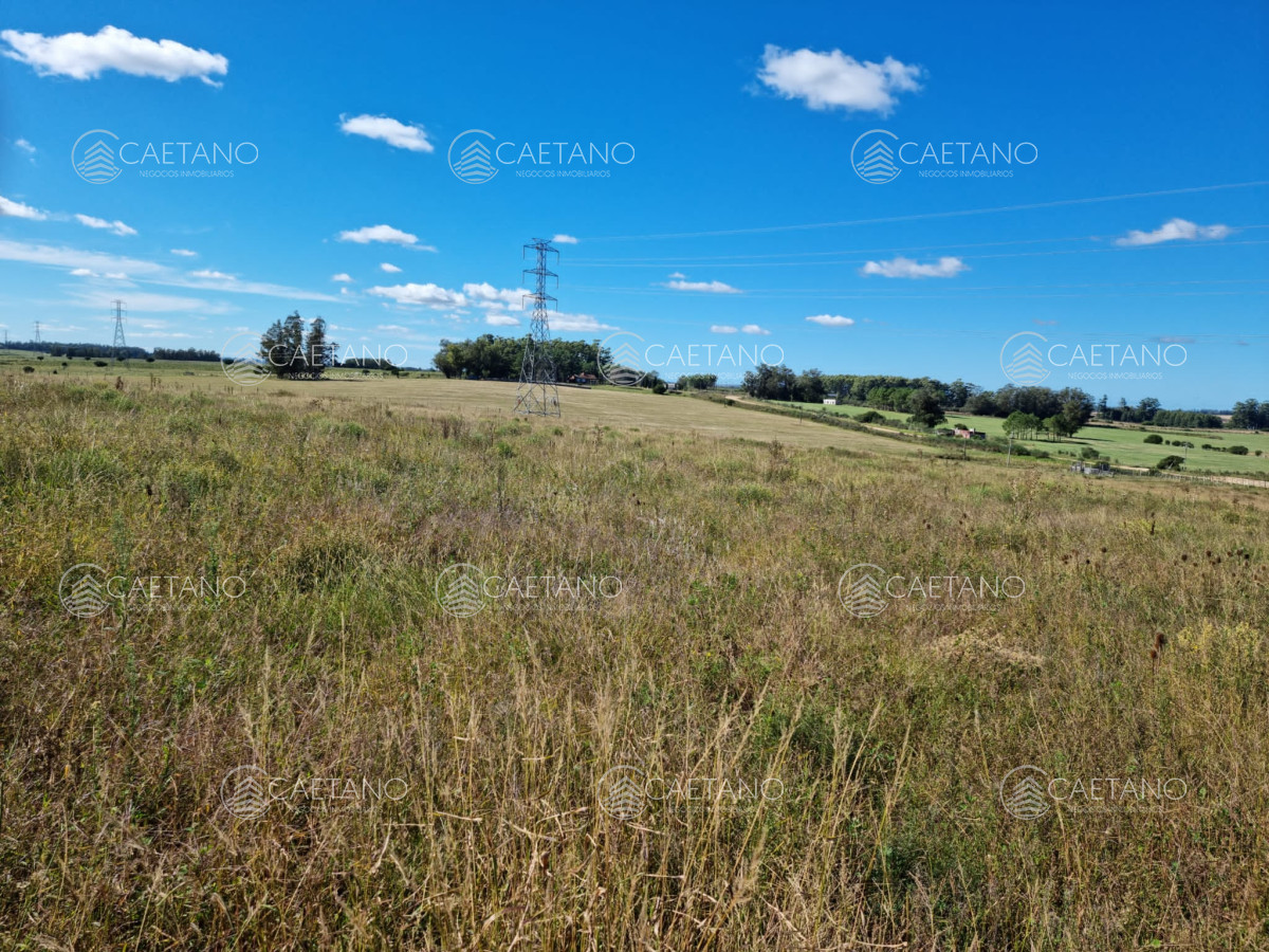Camino de los Ceibos - GoPunta - Portal Inmobiliario de Punta del Este - Maldonado