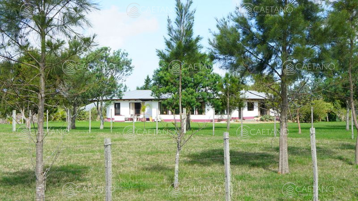 Carapé - GoPunta - Portal Inmobiliario de Punta del Este - Maldonado