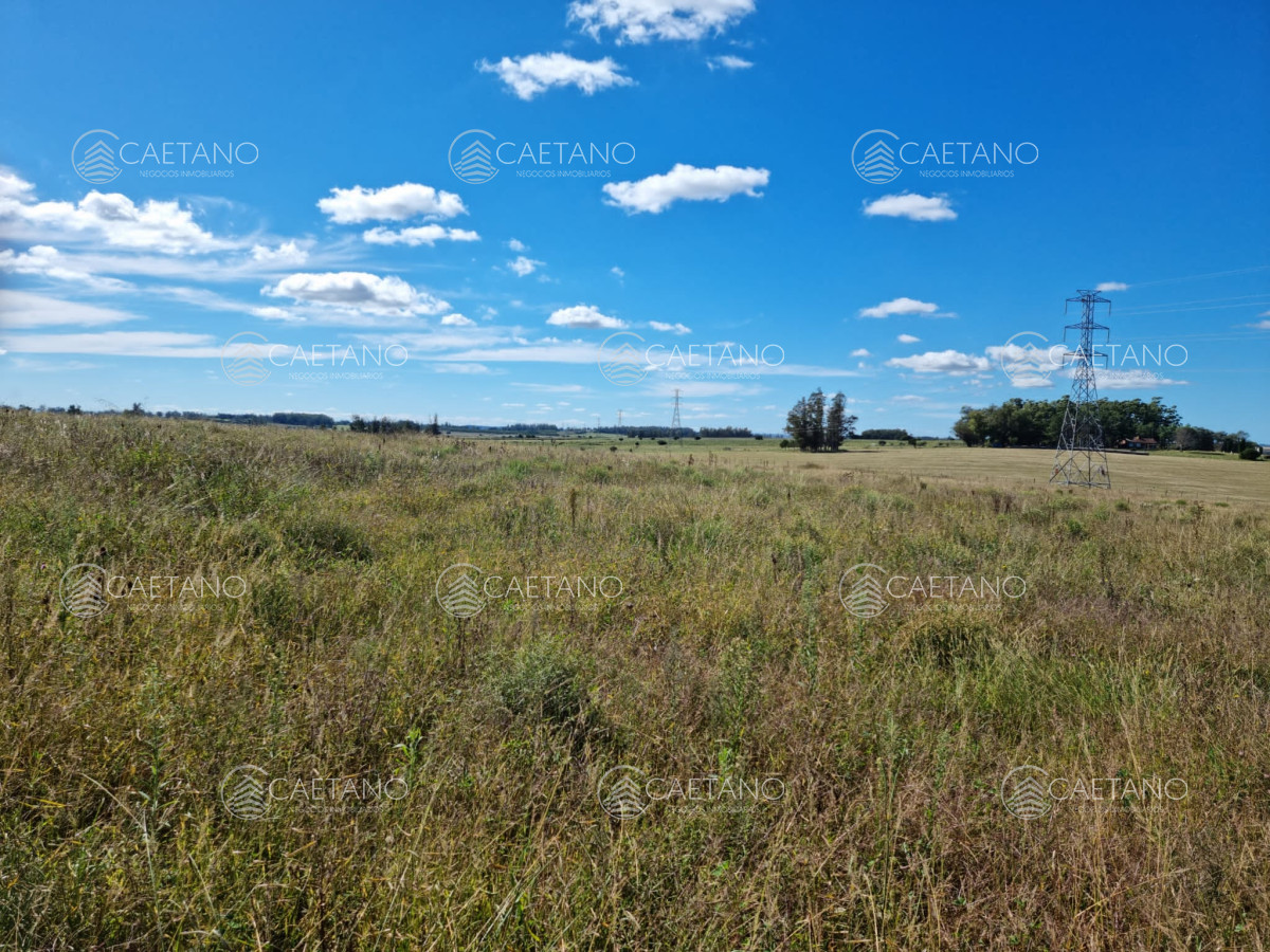 Camino de los Ceibos - GoPunta - Portal Inmobiliario de Punta del Este - Maldonado