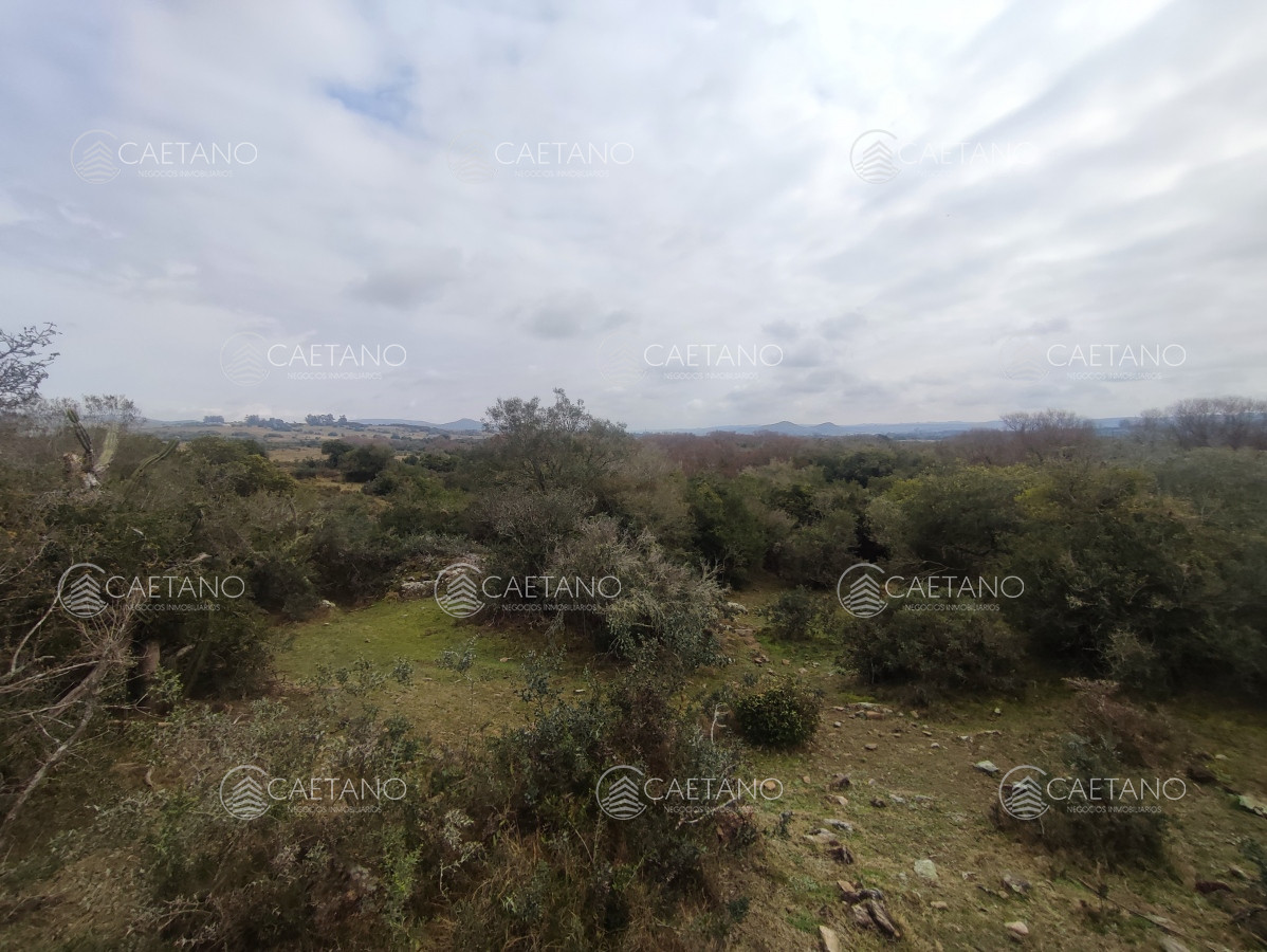 Pueblo Eden - GoPunta - Portal Inmobiliario de Punta del Este - Maldonado