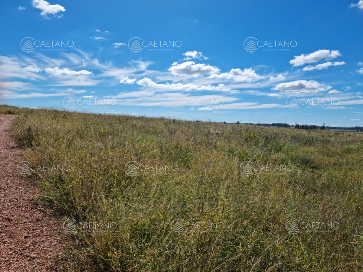 Camino de los Ceibos - GoPunta - Portal Inmobiliario de Punta del Este - Maldonado
