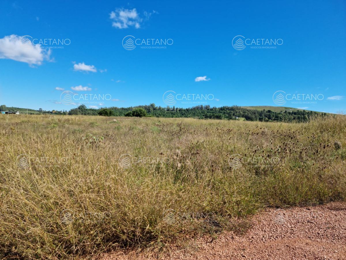 Camino de los Ceibos - GoPunta - Portal Inmobiliario de Punta del Este - Maldonado