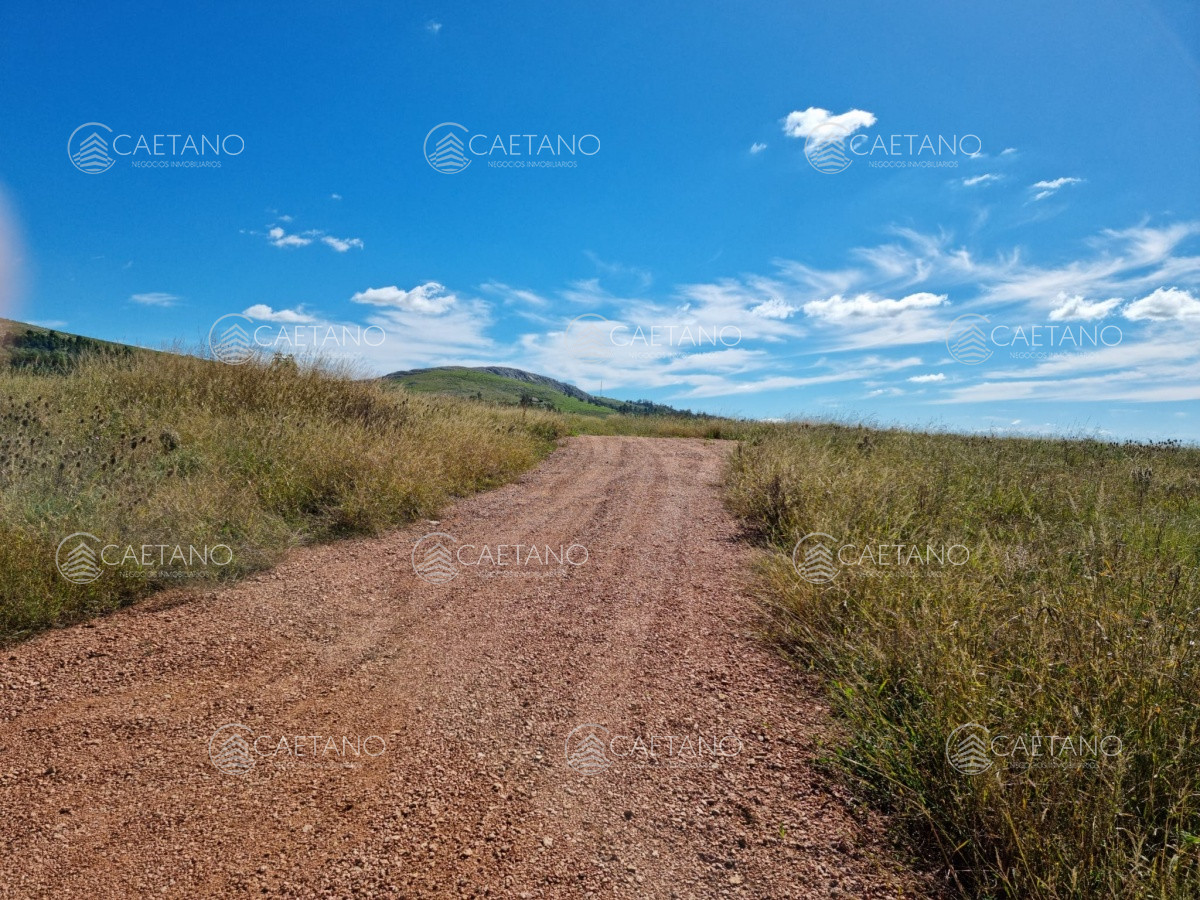 Camino de los Ceibos - GoPunta - Portal Inmobiliario de Punta del Este - Maldonado