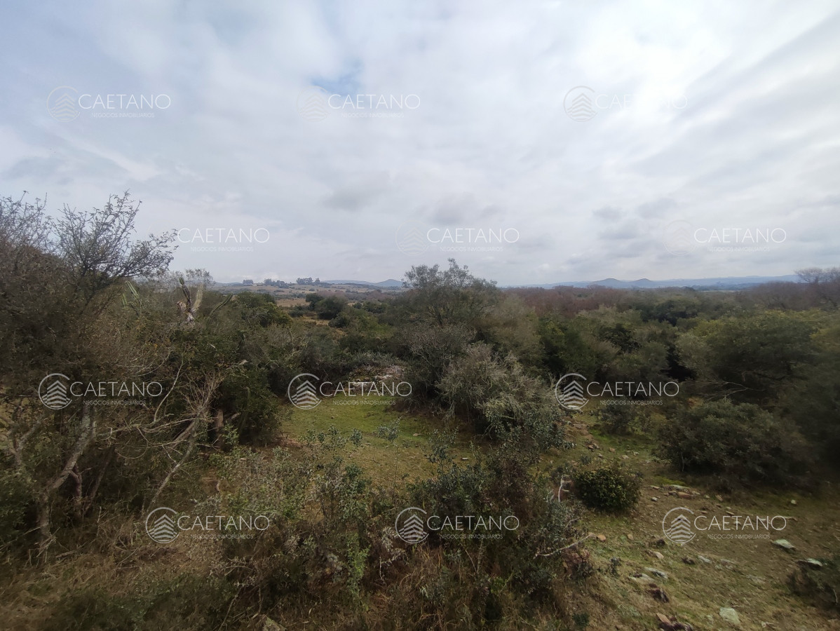 Pueblo Eden - GoPunta - Portal Inmobiliario de Punta del Este - Maldonado