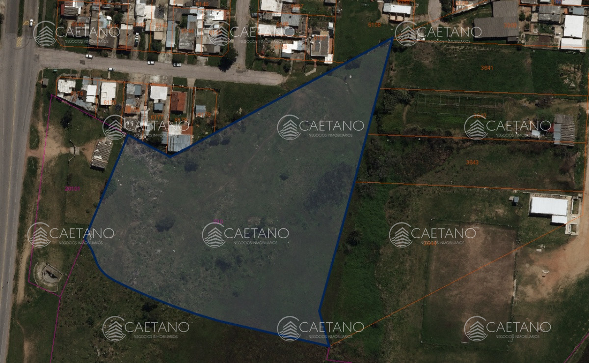 San Carlos - GoPunta - Portal Inmobiliario de Punta del Este - Maldonado