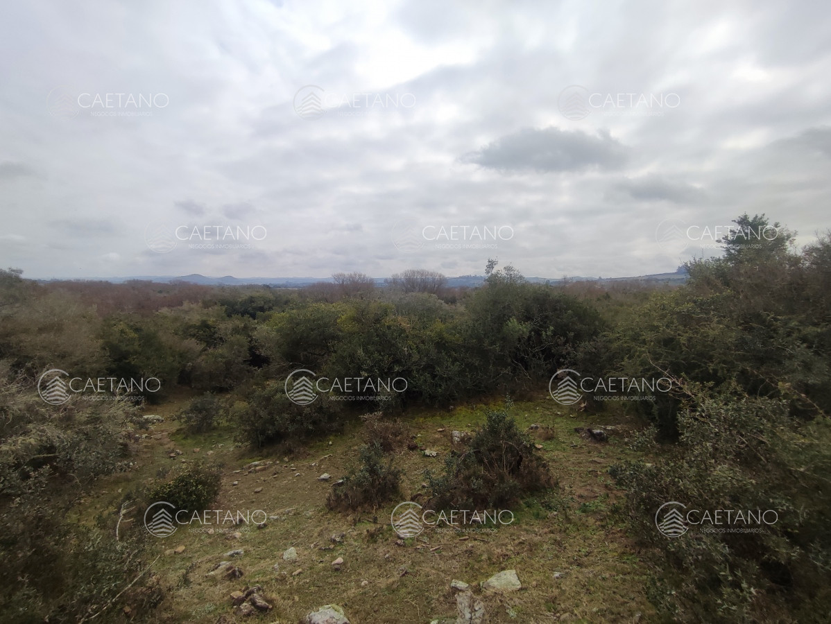 Pueblo Eden - GoPunta - Portal Inmobiliario de Punta del Este - Maldonado