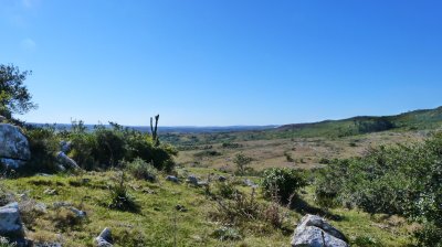 venta chacra 5 hectáreas ruta 39