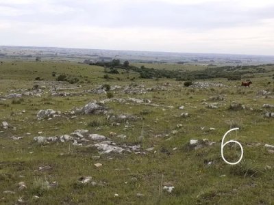 Venta chacras 8 hectáreas cerro corte de la leña Maldonado 