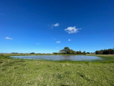 Chacra en venta José Ignacio 
