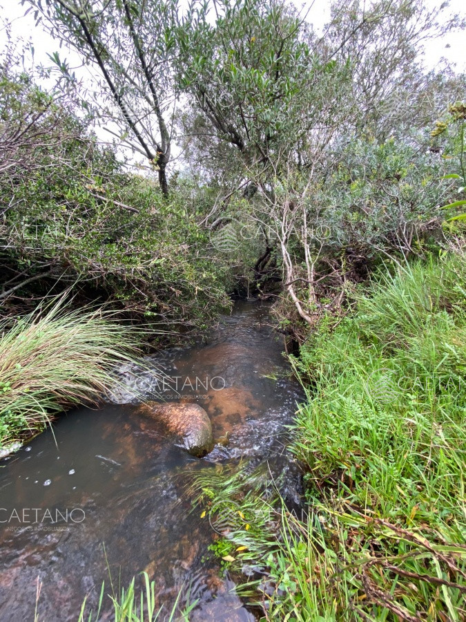 Venta de Campo, Maldonado   Mataojo   33hs - GoPunta - Portal Inmobiliario de Punta del Este - Maldonado