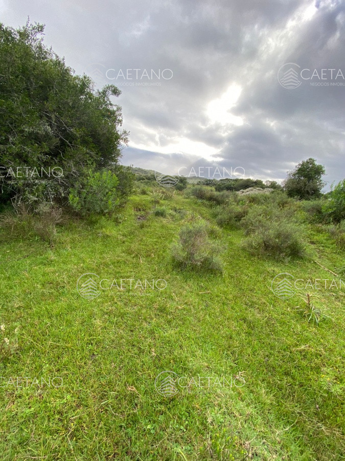 Venta de Campo, Maldonado   Mataojo   33hs - GoPunta - Portal Inmobiliario de Punta del Este - Maldonado