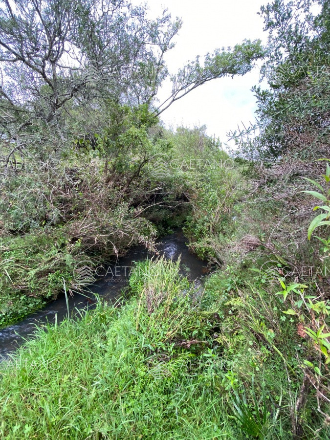 Venta de Campo, Maldonado   Mataojo   33hs - GoPunta - Portal Inmobiliario de Punta del Este - Maldonado