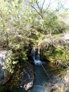 terreno en venta - ruta 39  - dmc3315t