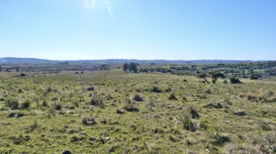 terreno en venta - ruta 39  - dmc3315t