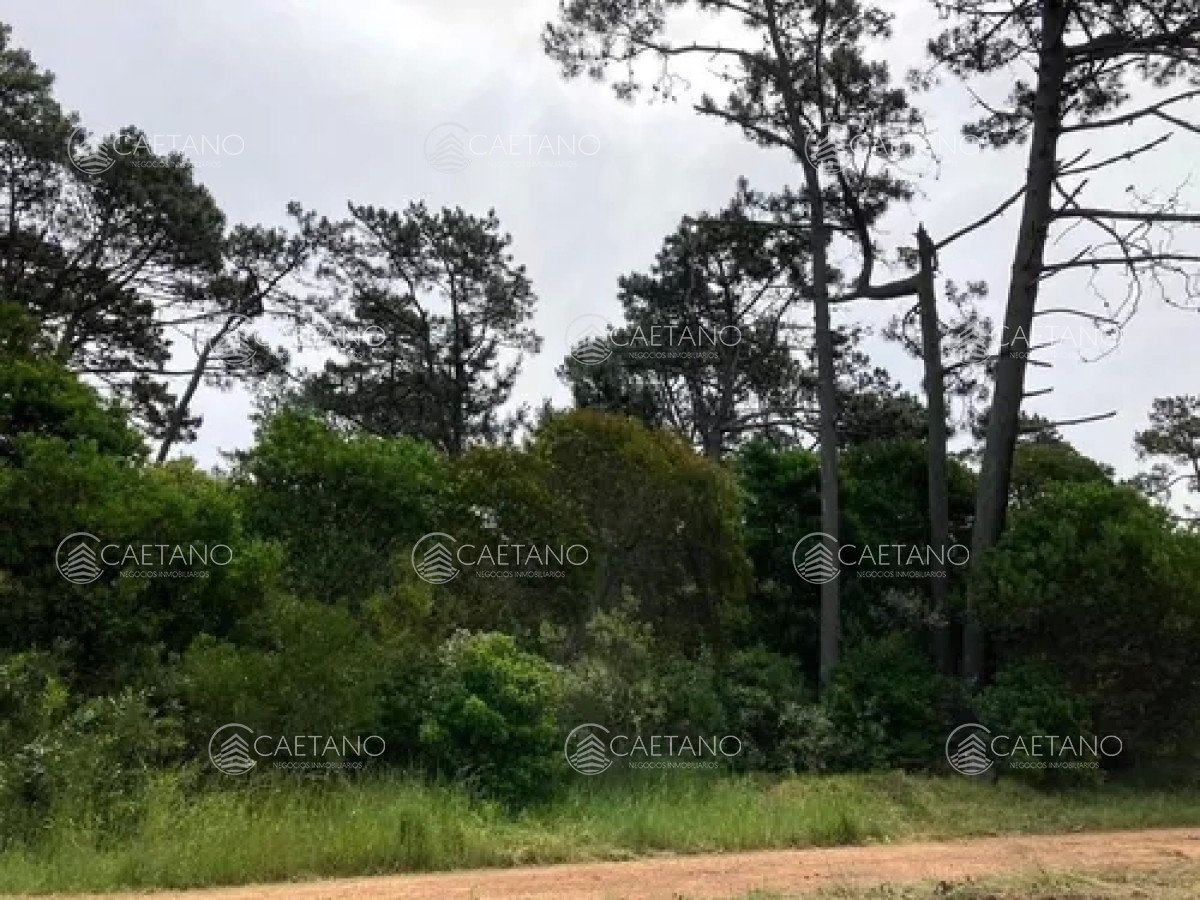 Ocean Park - GoPunta - Portal Inmobiliario de Punta del Este - Maldonado