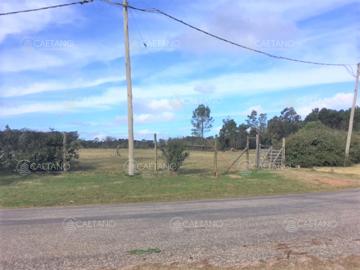 Rincón del Indio - GoPunta - Portal Inmobiliario de Punta del Este - Maldonado