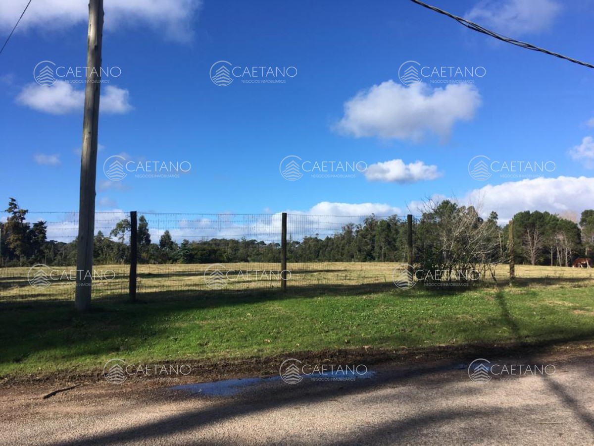 Rincón del Indio - GoPunta - Portal Inmobiliario de Punta del Este - Maldonado