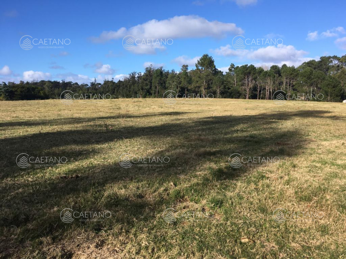 Rincón del Indio - GoPunta - Portal Inmobiliario de Punta del Este - Maldonado