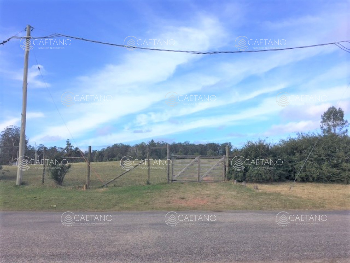 Rincón del Indio - GoPunta - Portal Inmobiliario de Punta del Este - Maldonado