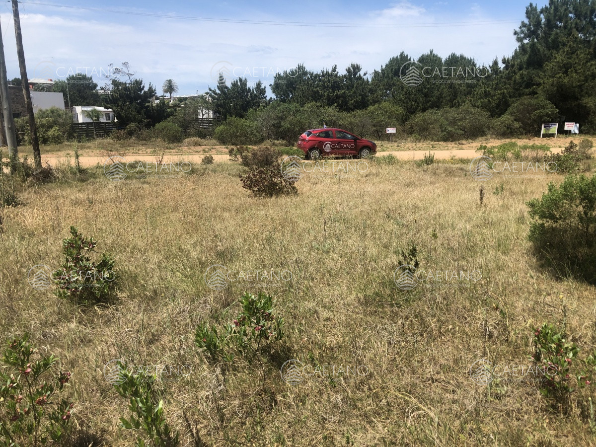 Ruta Interbalnearia - GoPunta - Portal Inmobiliario de Punta del Este - Maldonado