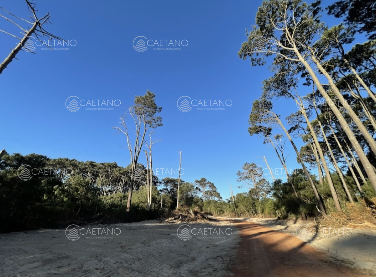 José Ignacio - GoPunta - Portal Inmobiliario de Punta del Este - Maldonado