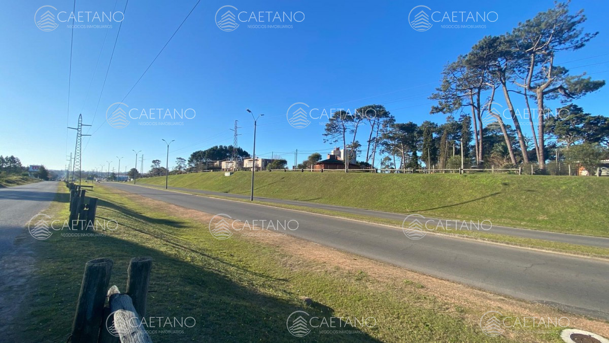 Boulevard Artigas - GoPunta - Portal Inmobiliario de Punta del Este - Maldonado