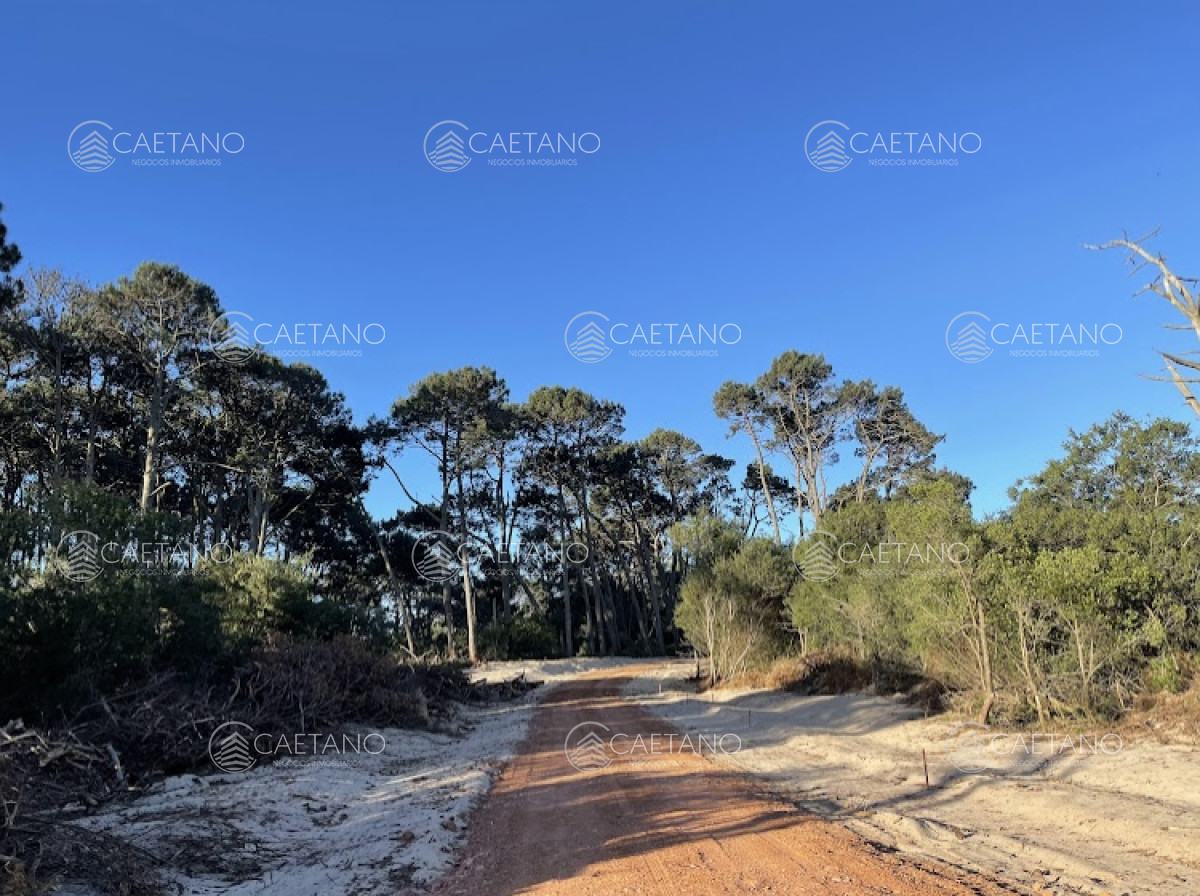 José Ignacio - GoPunta - Portal Inmobiliario de Punta del Este - Maldonado