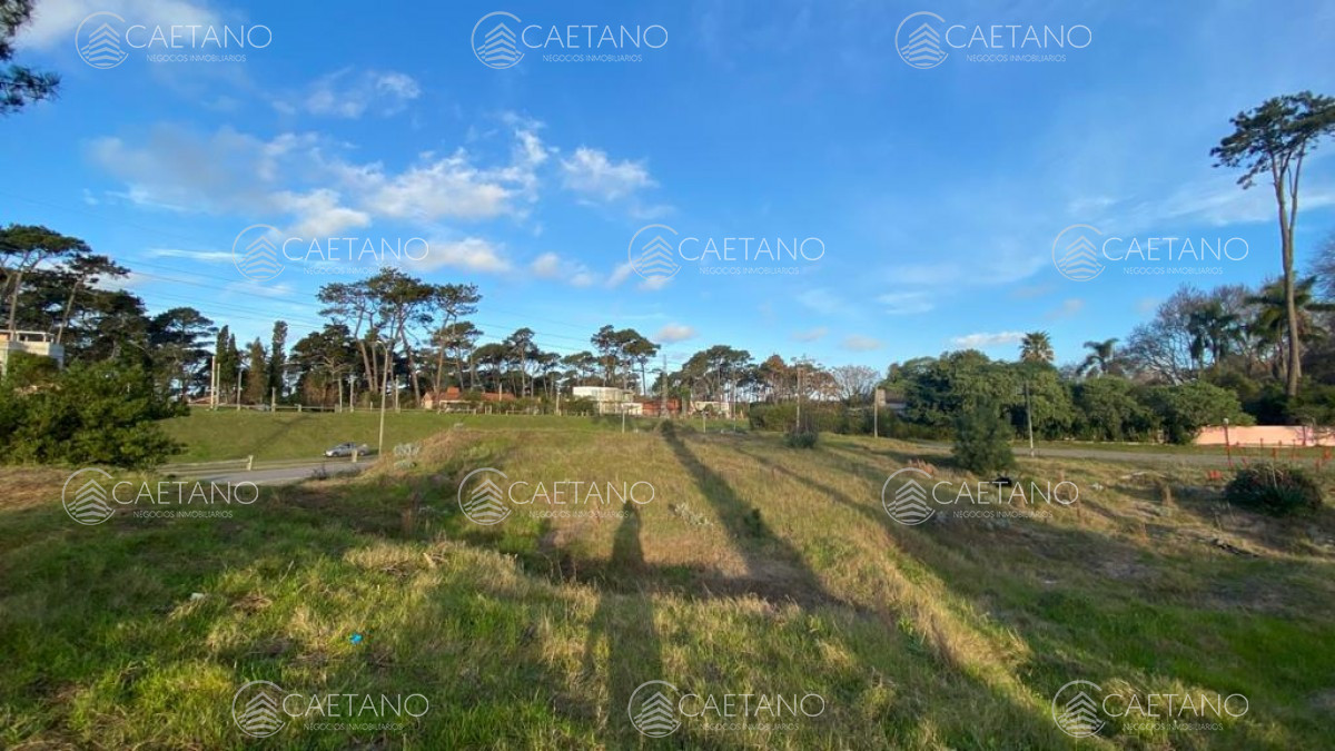 Boulevard Artigas - GoPunta - Portal Inmobiliario de Punta del Este - Maldonado