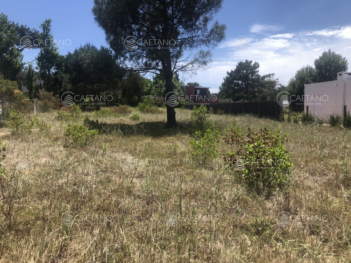 Ruta Interbalnearia - GoPunta - Portal Inmobiliario de Punta del Este - Maldonado