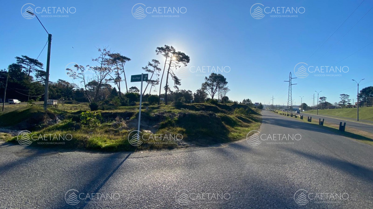 Boulevard Artigas - GoPunta - Portal Inmobiliario de Punta del Este - Maldonado