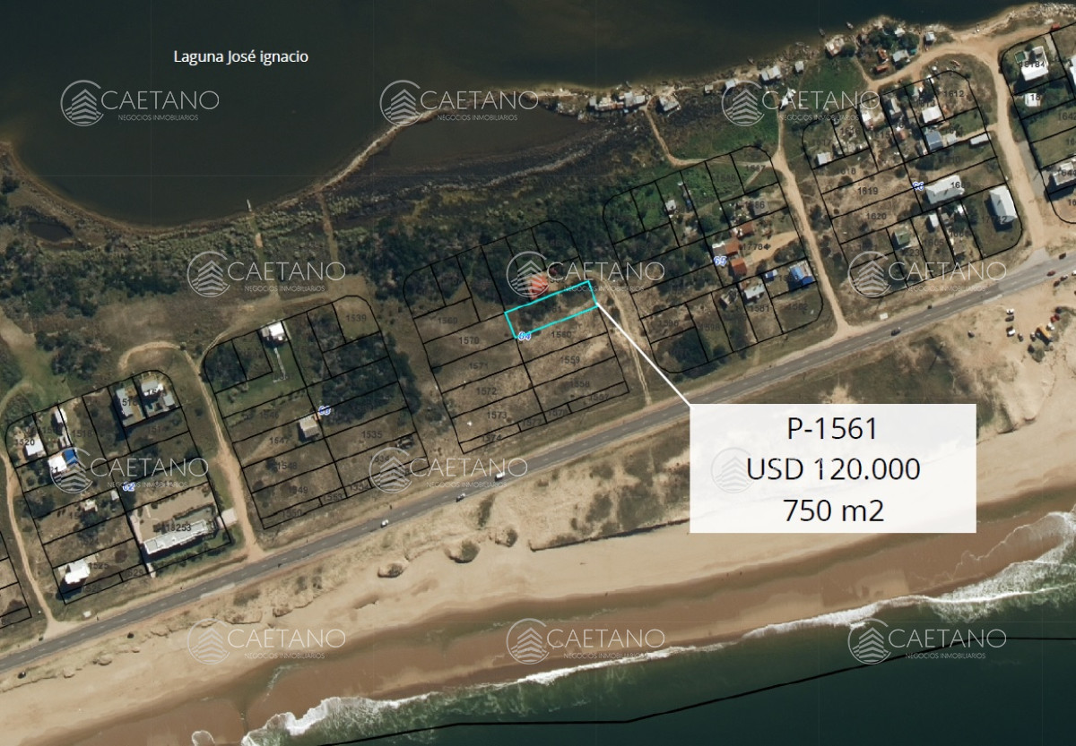 Santa Monica - GoPunta - Portal Inmobiliario de Punta del Este - Maldonado