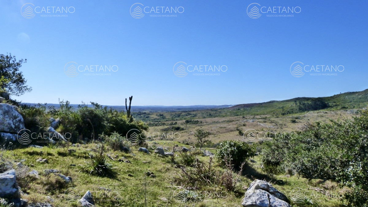 Ruta 39 - GoPunta - Portal Inmobiliario de Punta del Este - Maldonado