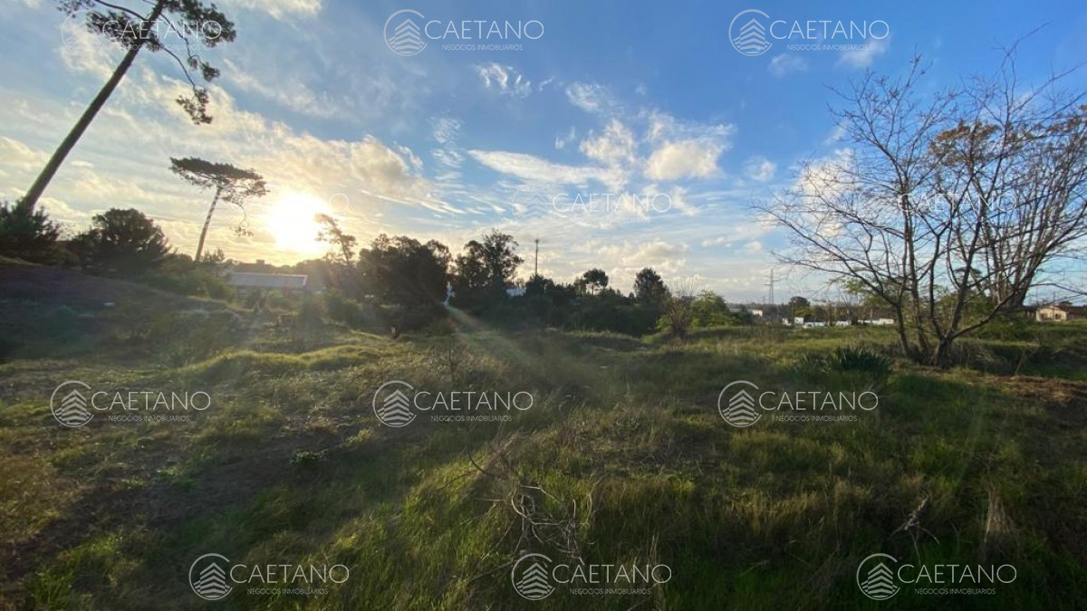 Boulevard Artigas - GoPunta - Portal Inmobiliario de Punta del Este - Maldonado