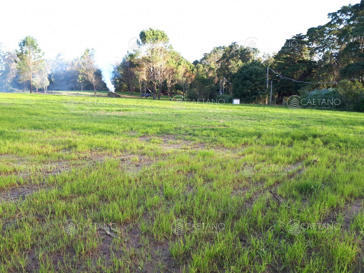 Rincón del Indio - GoPunta - Portal Inmobiliario de Punta del Este - Maldonado