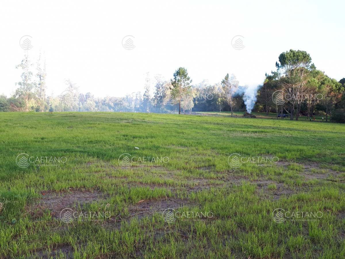 Rincón del Indio - GoPunta - Portal Inmobiliario de Punta del Este - Maldonado