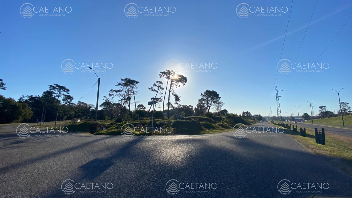Boulevard Artigas - GoPunta - Portal Inmobiliario de Punta del Este - Maldonado