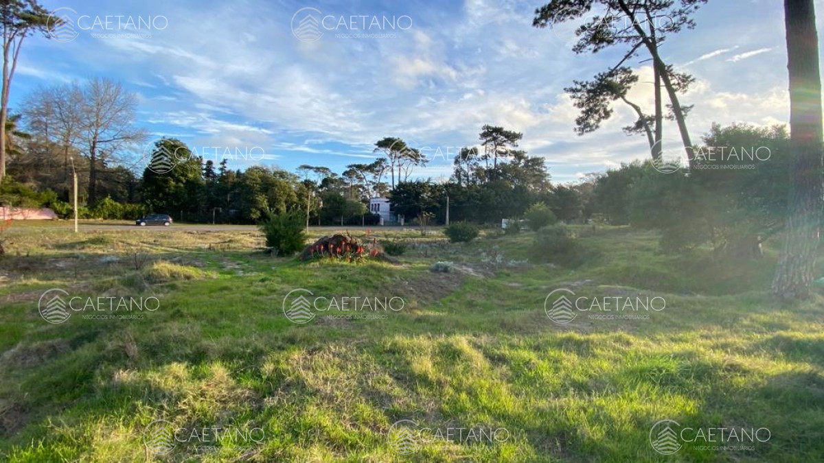 Boulevard Artigas - GoPunta - Portal Inmobiliario de Punta del Este - Maldonado