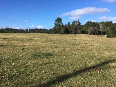 Venta terreno Rincón del Indio