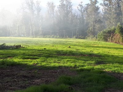 Espectacular Terreno en Rincón del Indio - Punta del Este