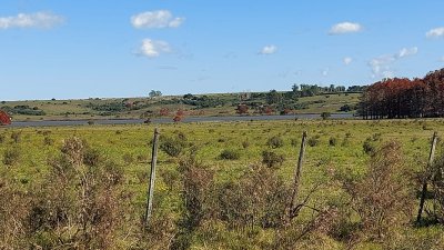 chacra sobre laguna del sauce  - btg1645h