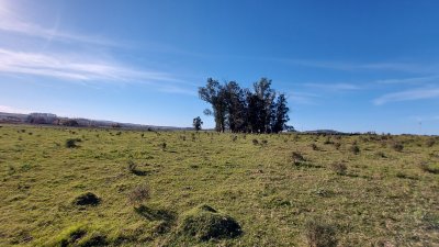 chacra sobre laguna del sauce  - btg1645h