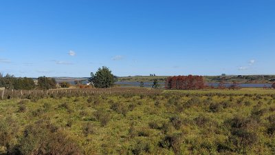 chacra sobre laguna del sauce  - btg1645h