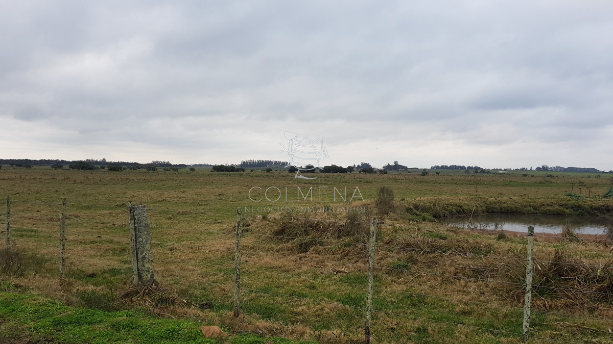 Propiedad - GoPunta - Portal Inmobiliario de Punta del Este - Maldonado