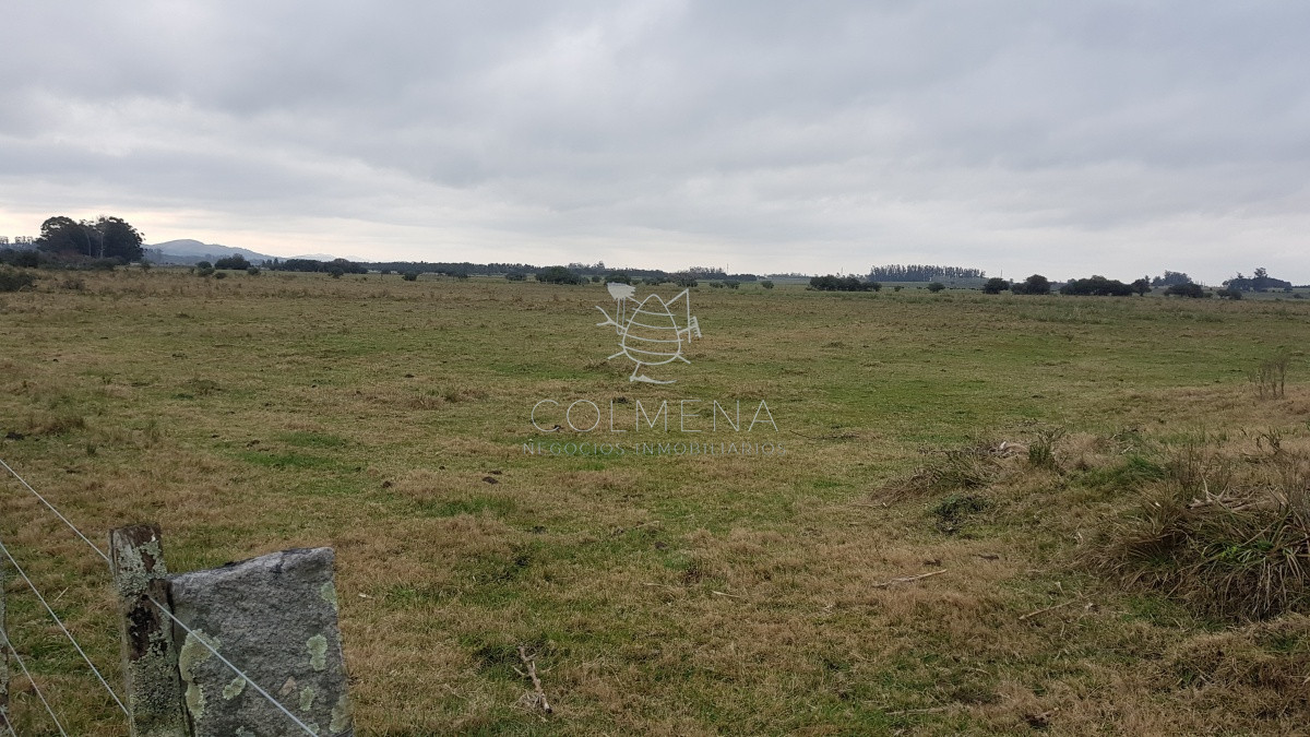 Propiedad - GoPunta - Portal Inmobiliario de Punta del Este - Maldonado