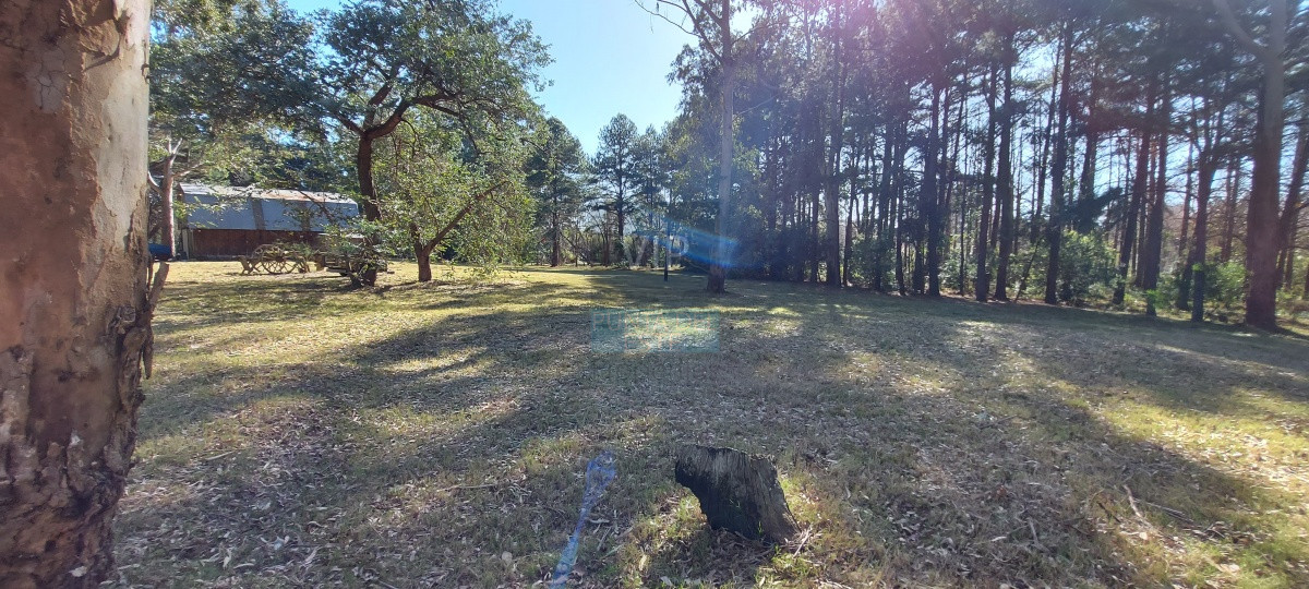 Camino Lussich - GoPunta - Portal Inmobiliario de Punta del Este - Maldonado