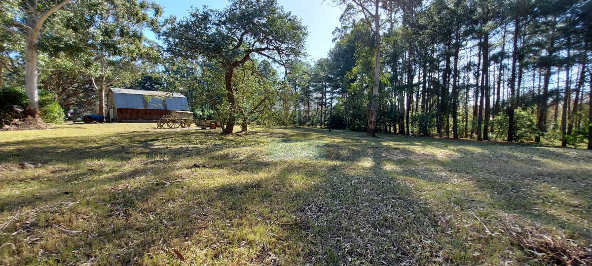 Camino Lussich - GoPunta - Portal Inmobiliario de Punta del Este - Maldonado
