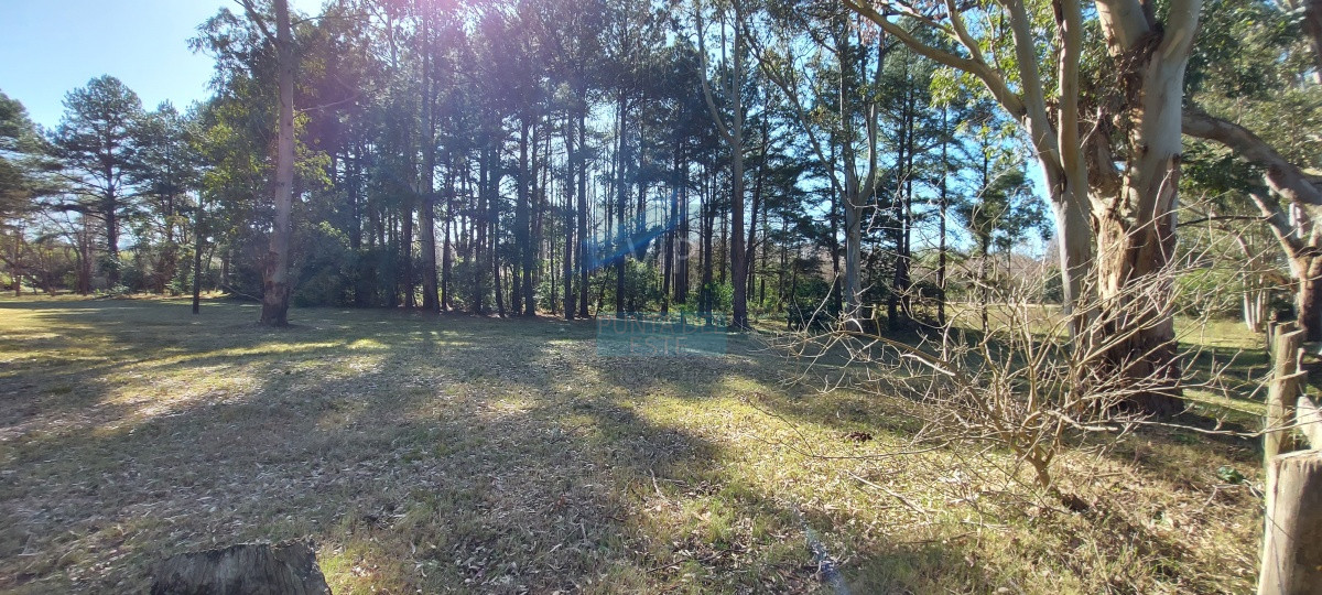 Camino Lussich - GoPunta - Portal Inmobiliario de Punta del Este - Maldonado