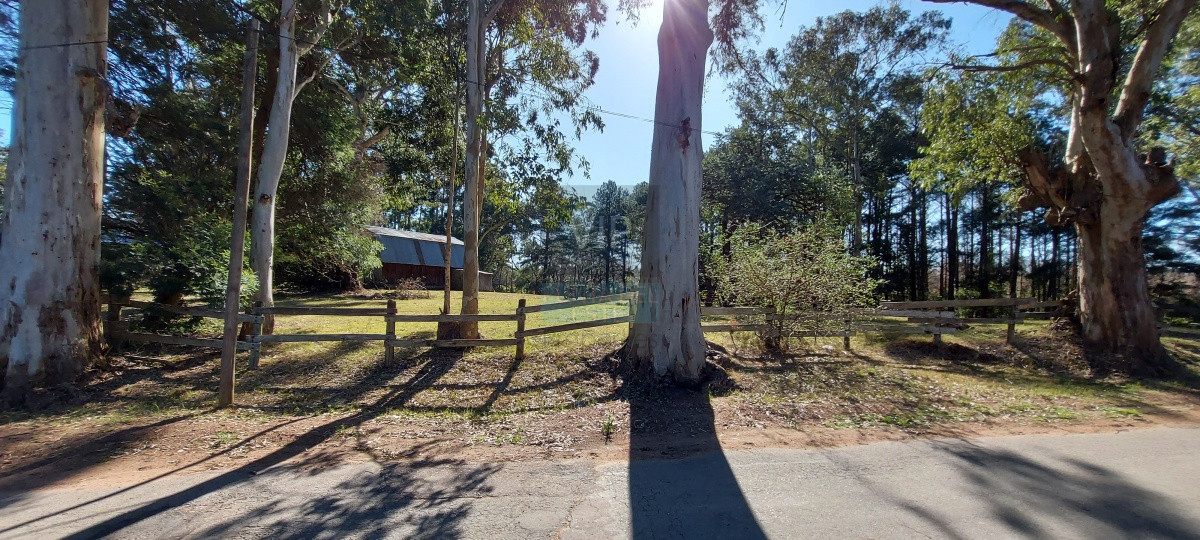 Camino Lussich - GoPunta - Portal Inmobiliario de Punta del Este - Maldonado