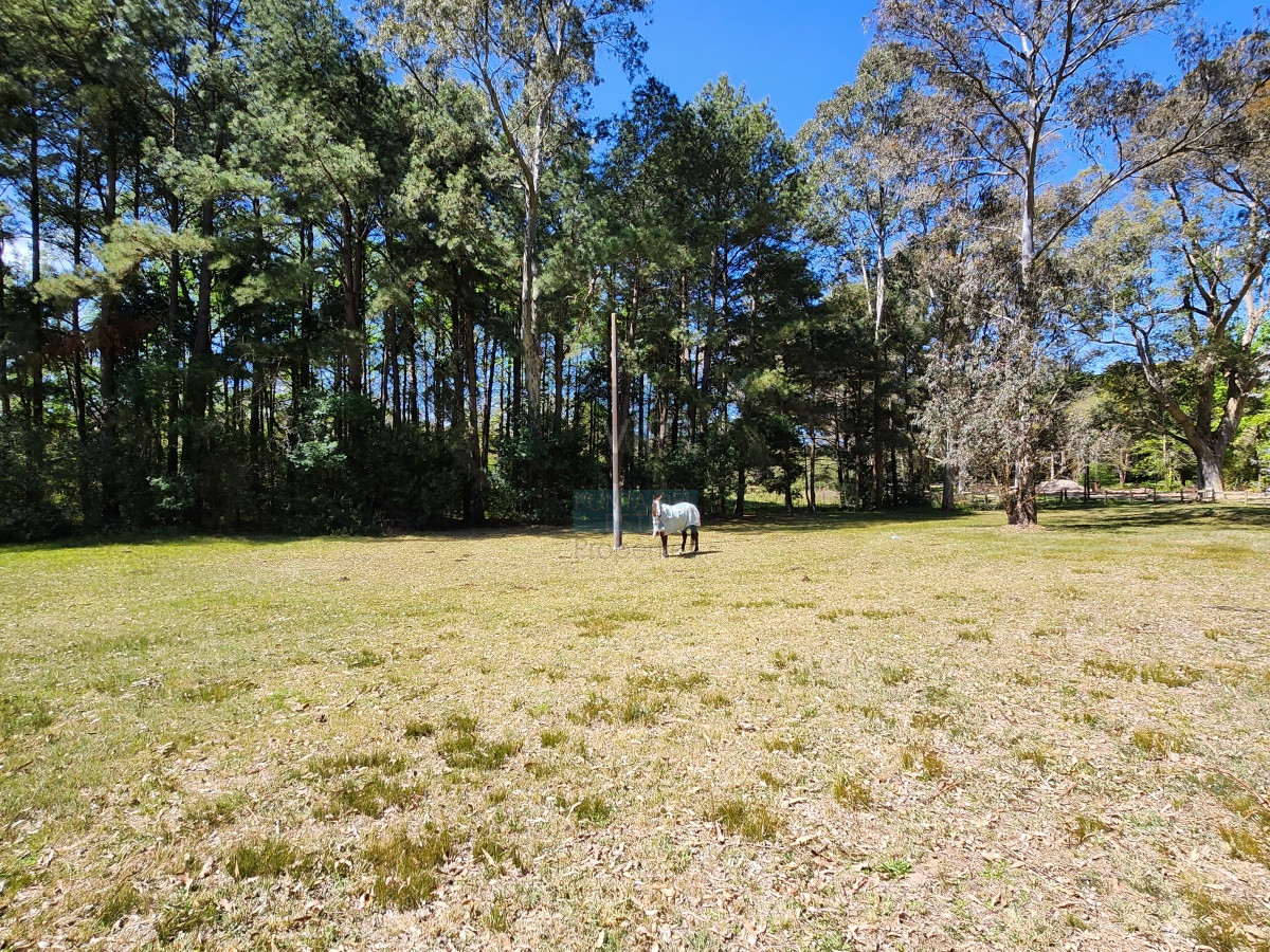 Camino Lussich - GoPunta - Portal Inmobiliario de Punta del Este - Maldonado