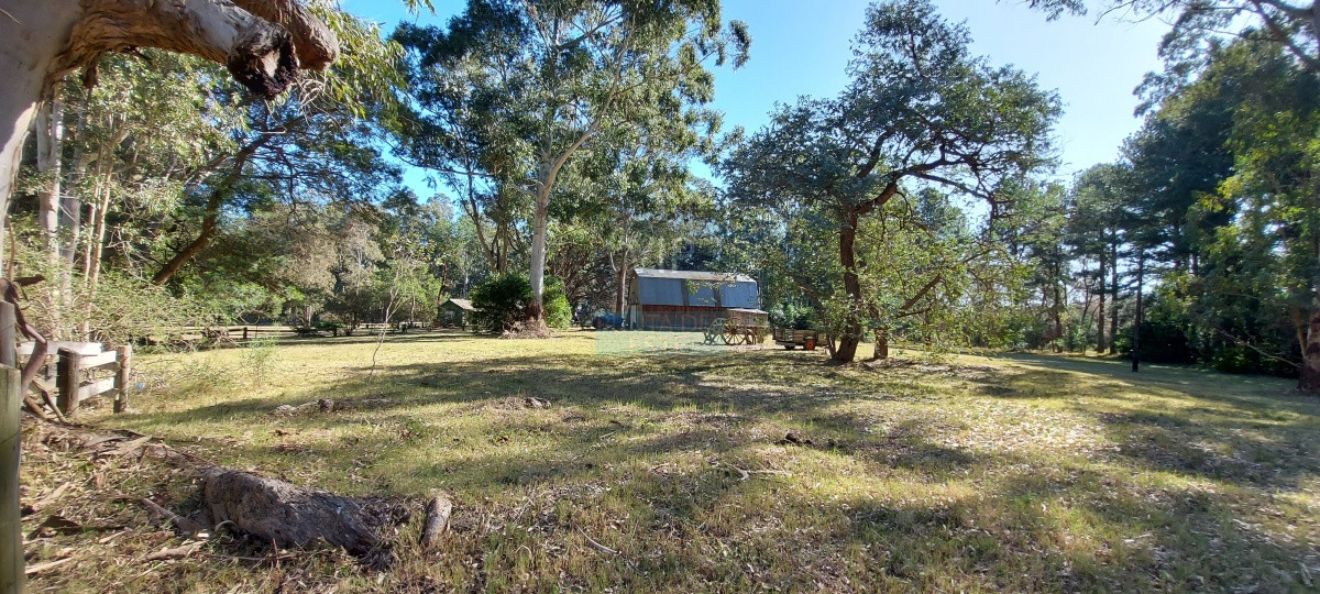 Camino Lussich - GoPunta - Portal Inmobiliario de Punta del Este - Maldonado